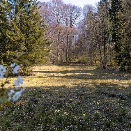 Haus Klosterleite *